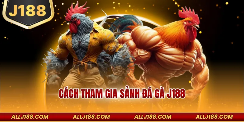 Cách tham gia sảnh đá gà J188