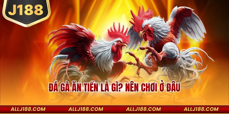 Đá gà ăn tiền là gì? nên chơi ở đâu