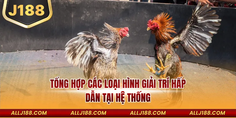 Tổng hợp các loại hình giải trí hấp dẫn tại hệ thống